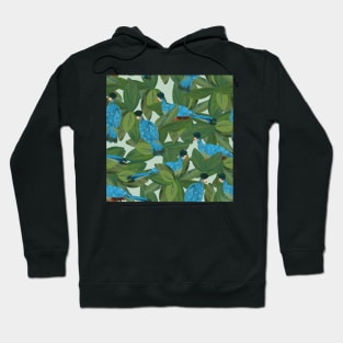 Great blue turacos in the trees light Hoodie